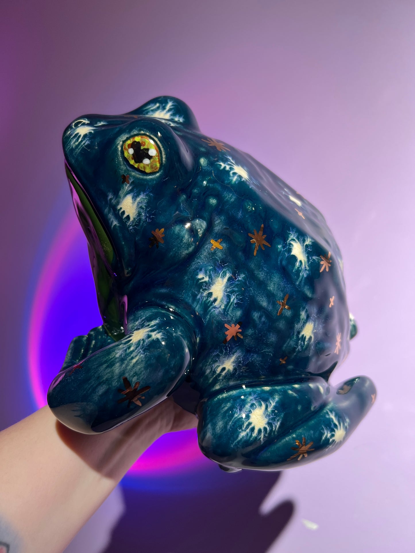 Chillary the Winter Sky Frog