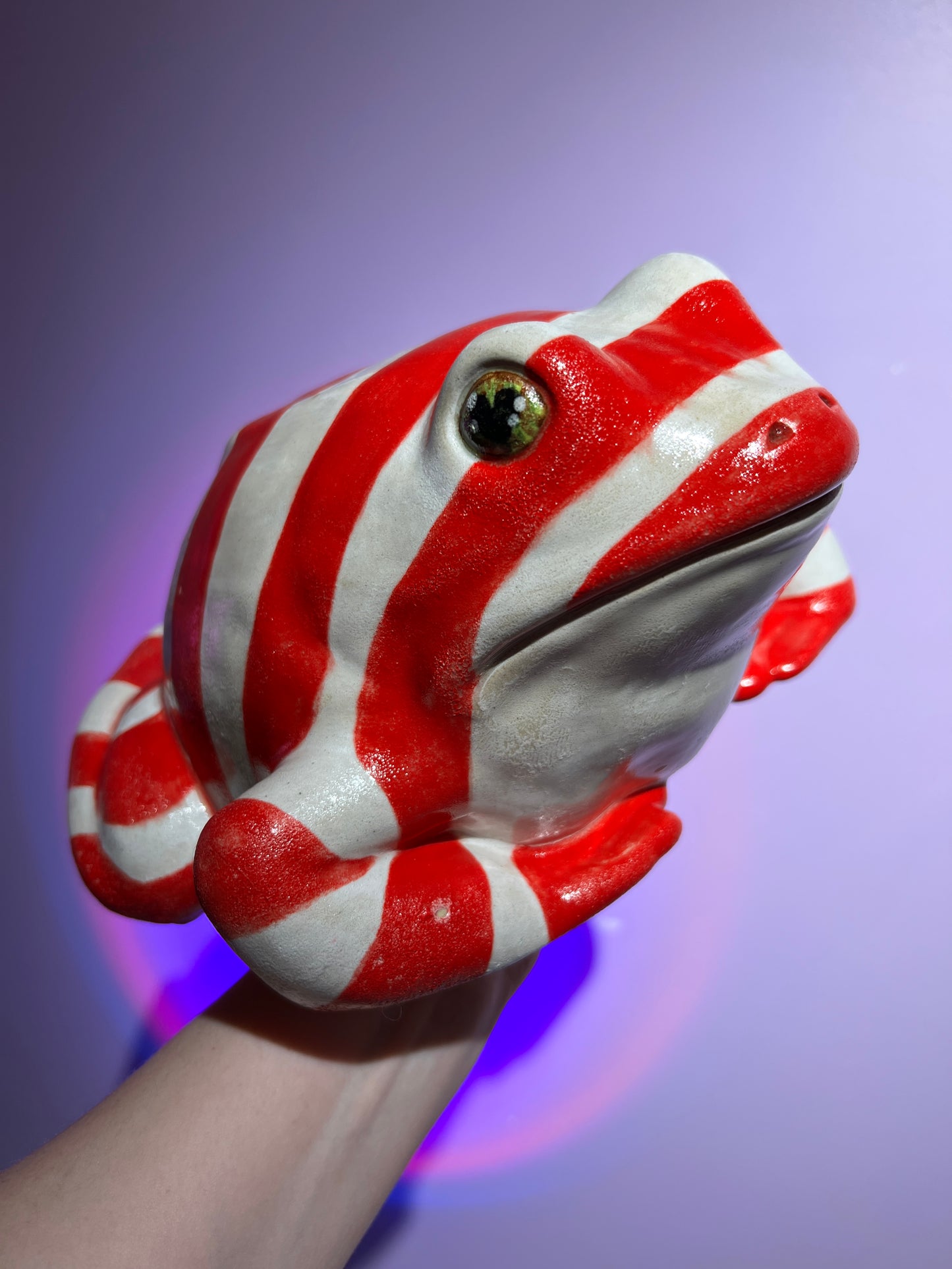 Lolli the Deep Fried Peppermint Frog