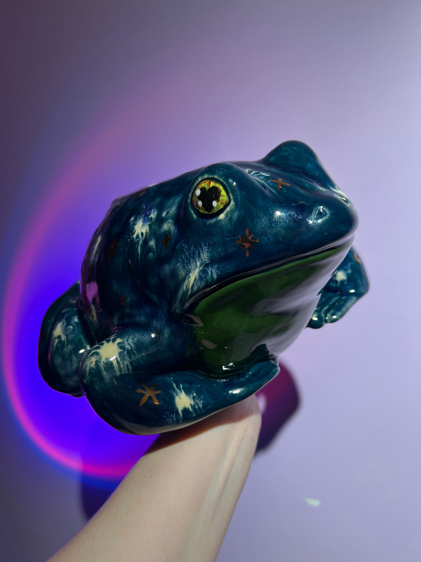 Chillary the Winter Sky Frog