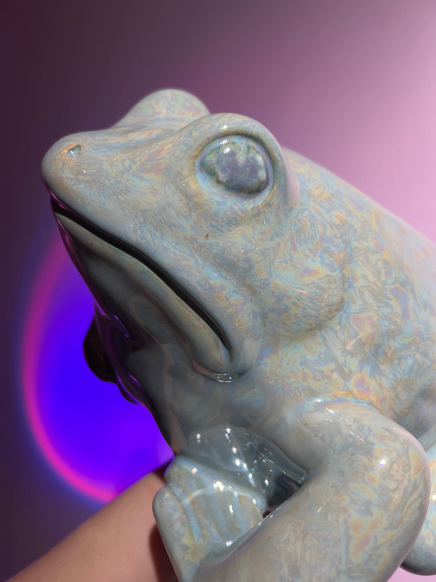 Frostelle the Frozen Frog