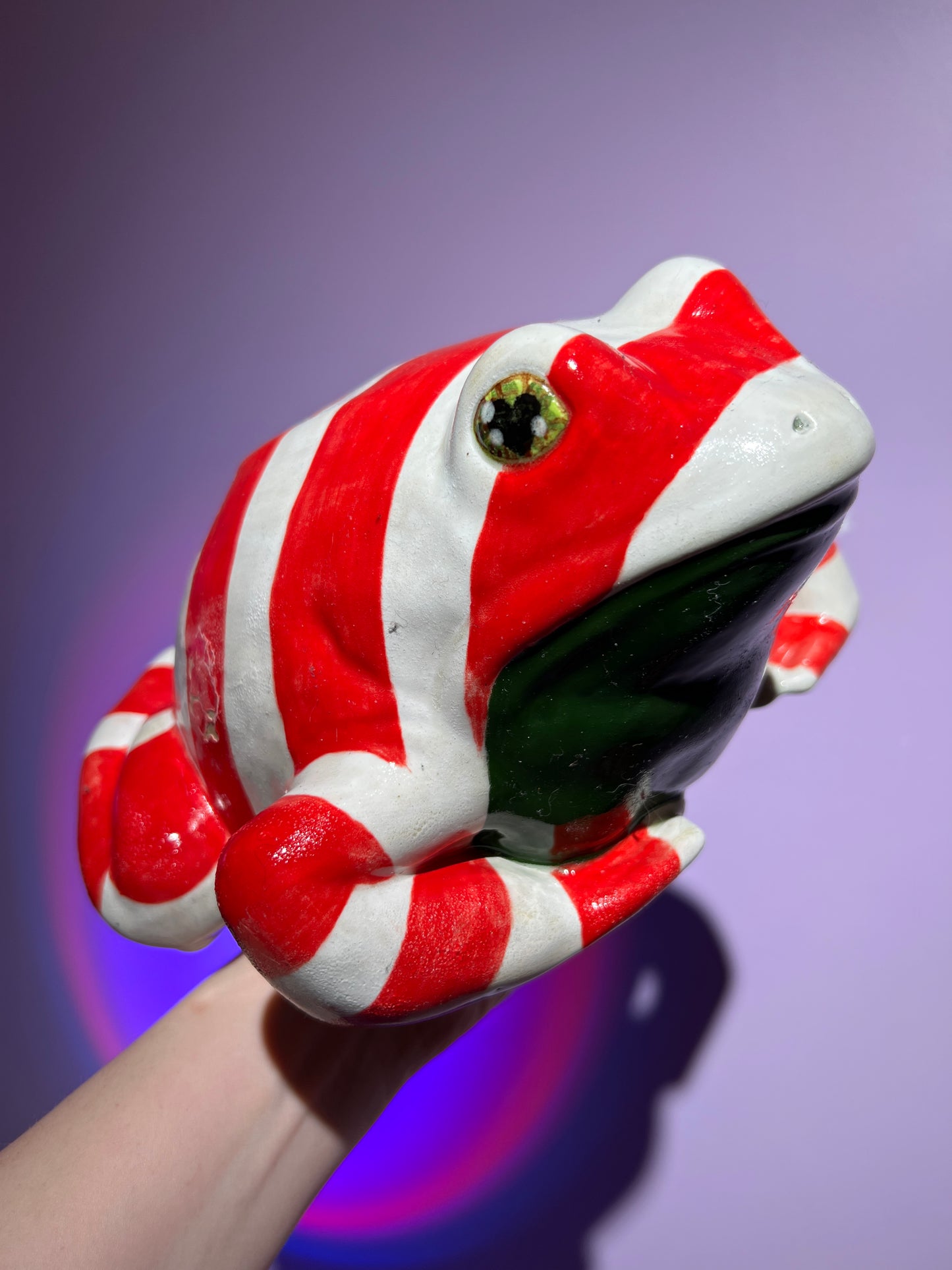 Kan D Cane the Deep Fried Peppermint Frog