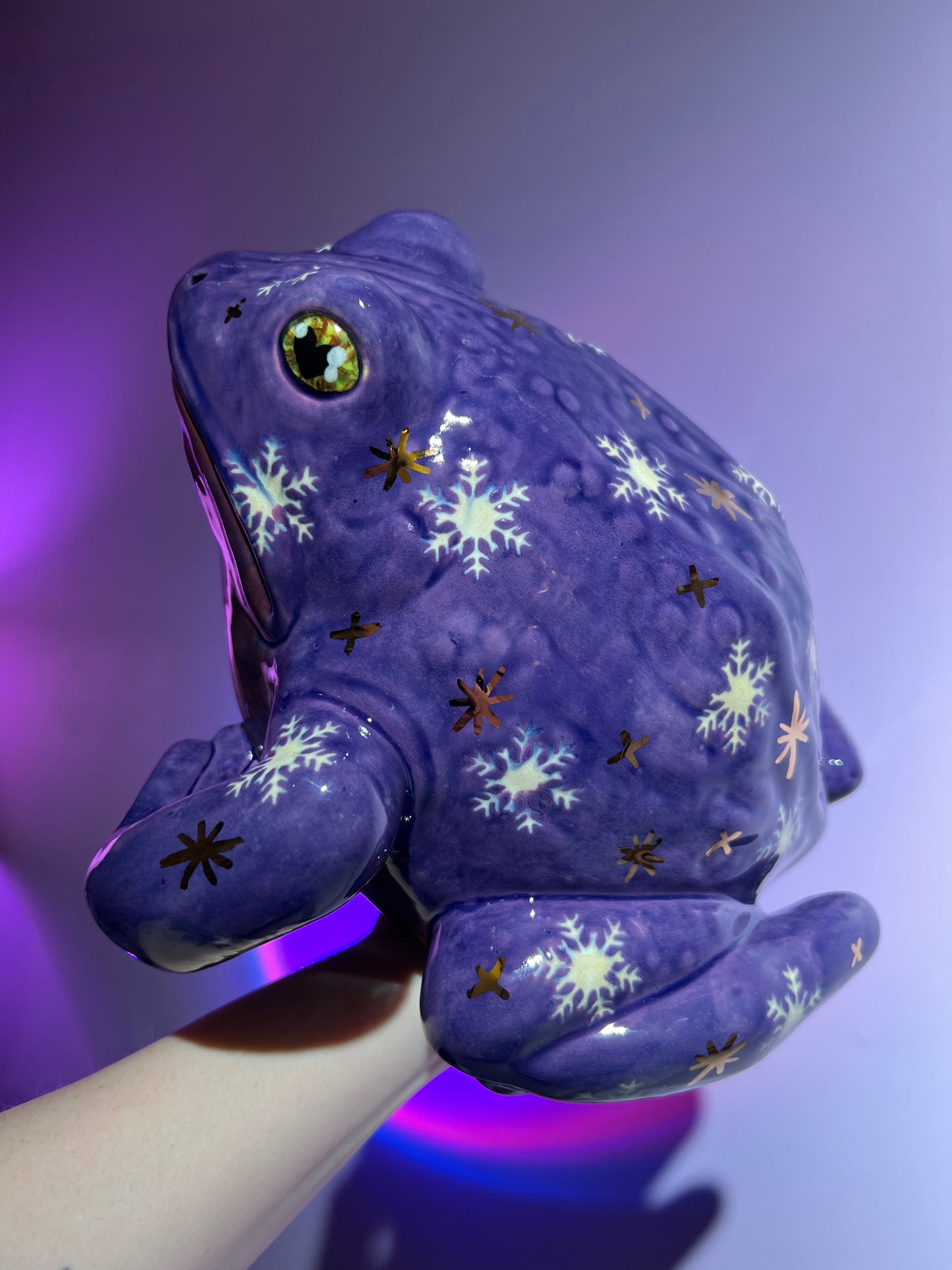 Shiverly the Snowflake Sky Frog