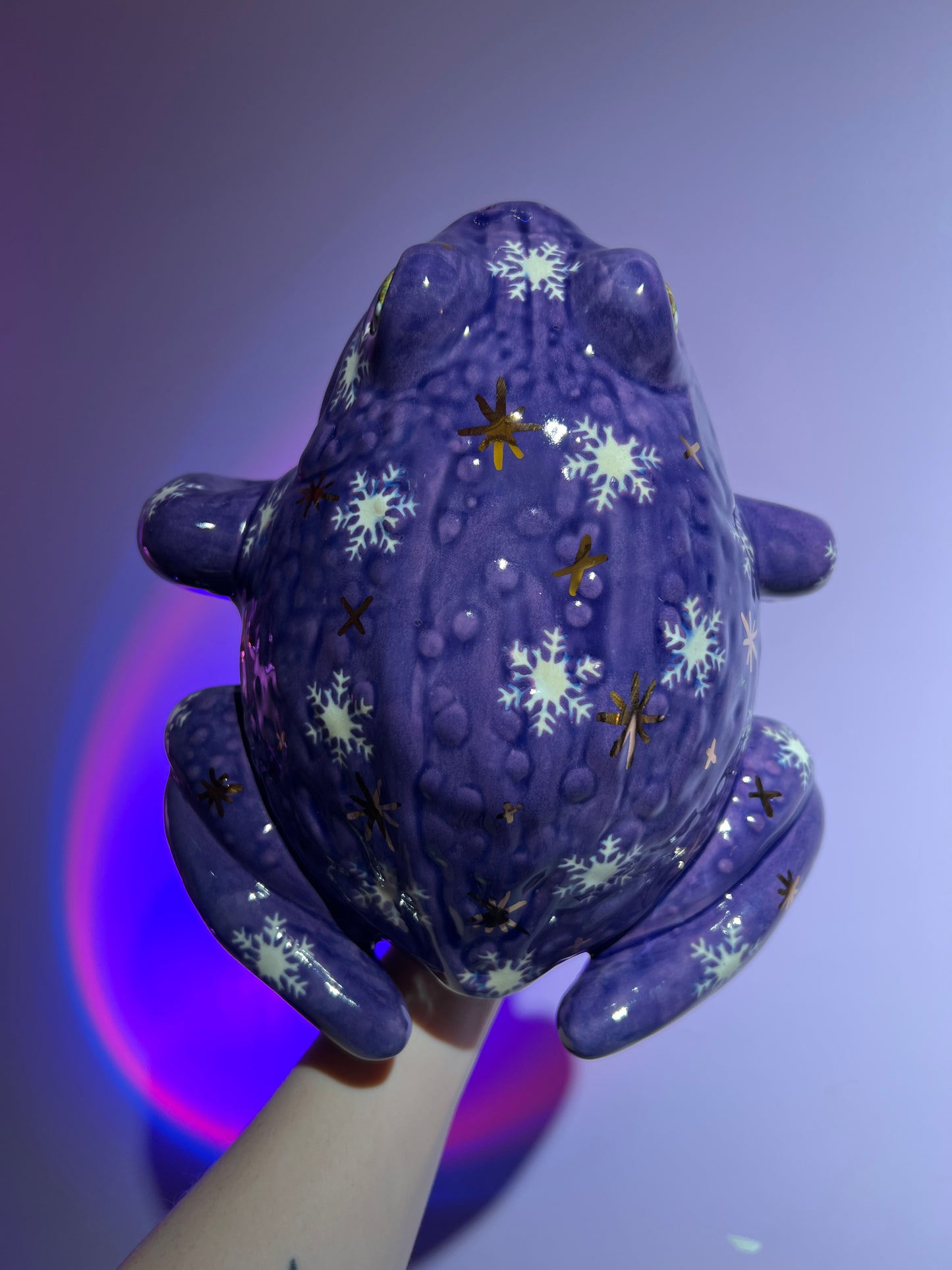 Blizzette the Snowflake Sky Frog