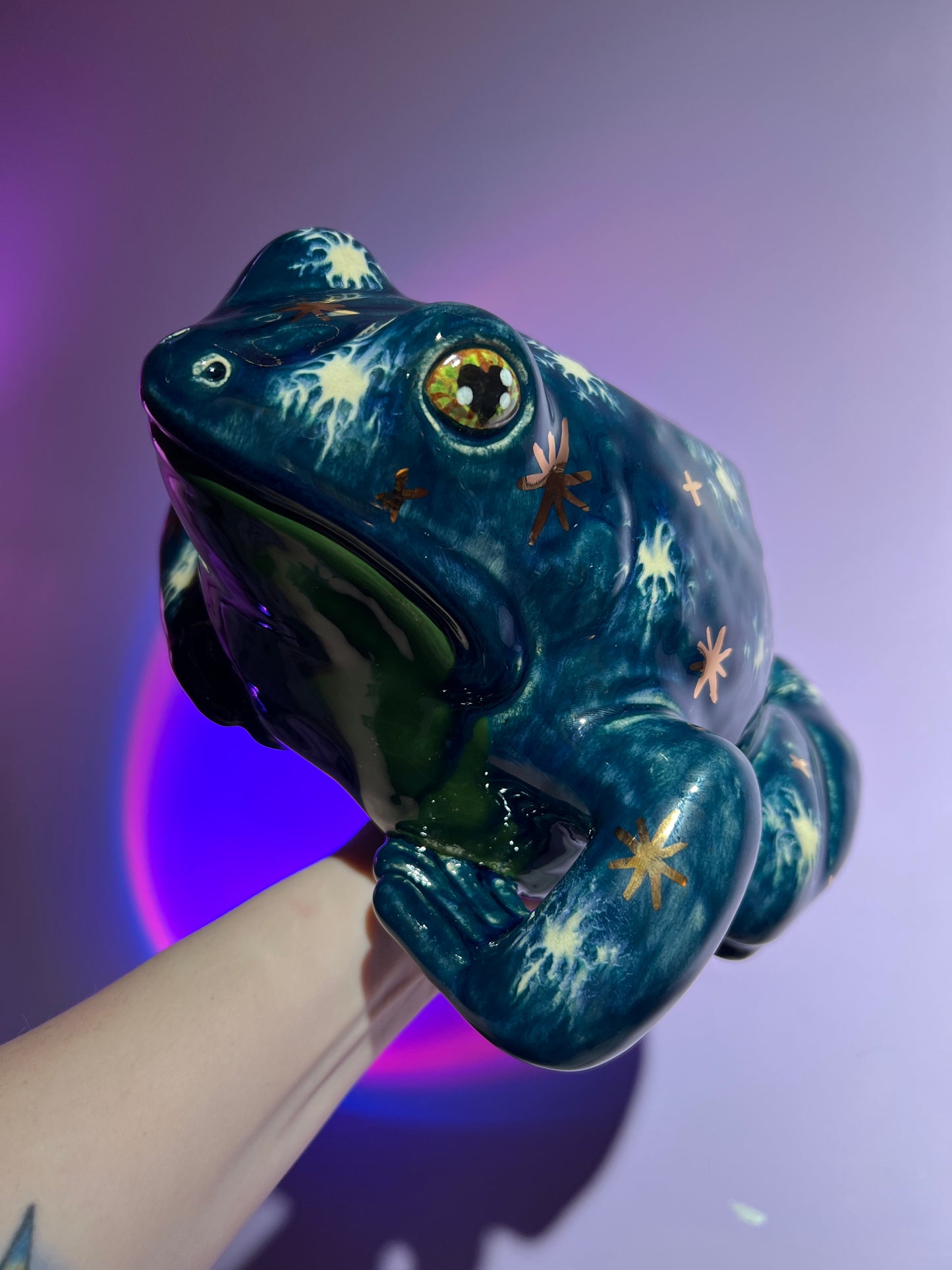 Chilliam the Winter Sky Frog