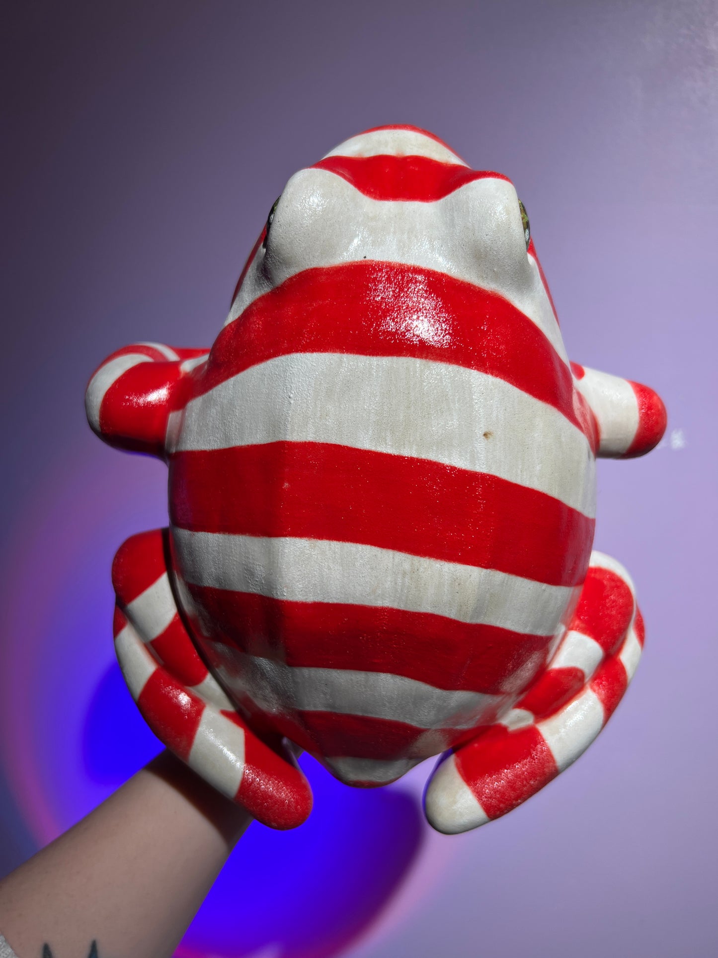 Lolli the Deep Fried Peppermint Frog