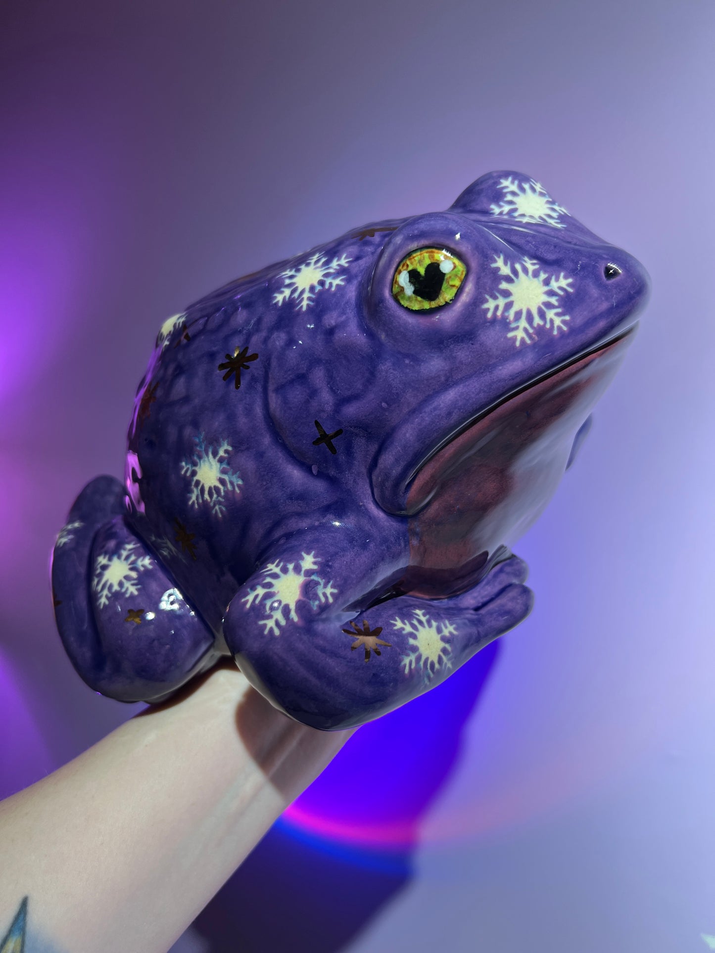 Shiverly the Snowflake Sky Frog