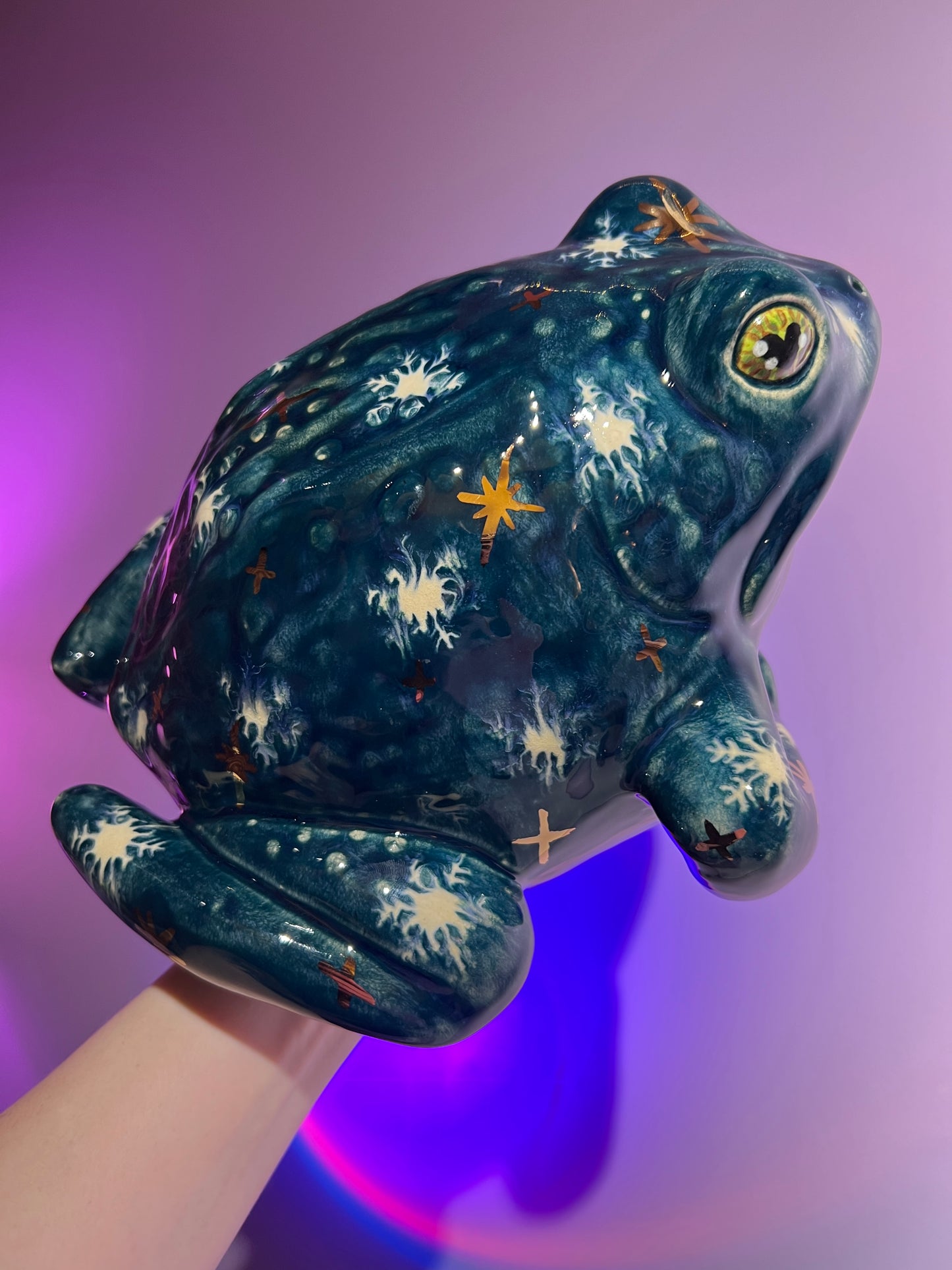 Shiverick the Winter Sky Frog