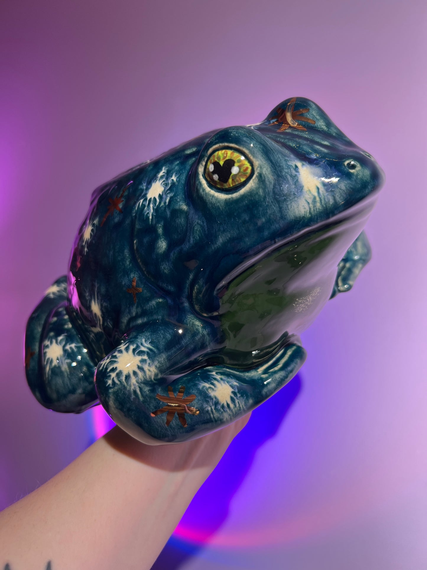 Shiverick the Winter Sky Frog