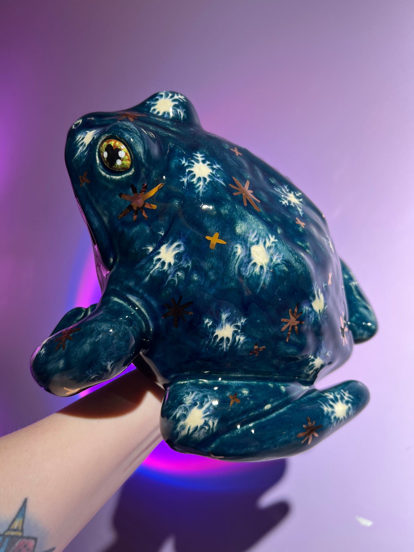 Chilliam the Winter Sky Frog