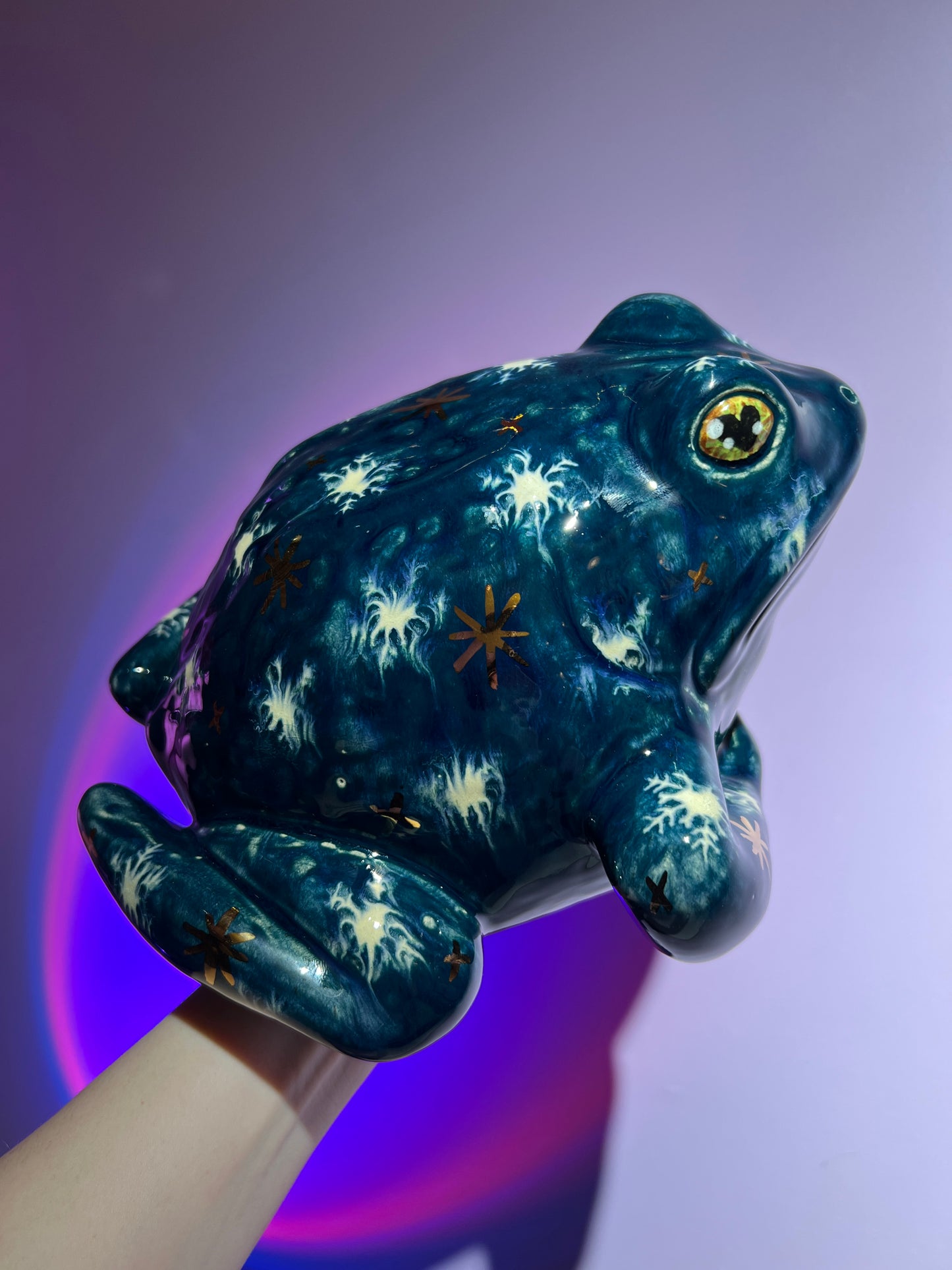 Chilliam the Winter Sky Frog