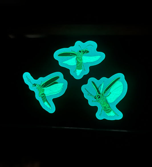 Limited Edition “Firefly Festival” Set of 3 GITD Stickers