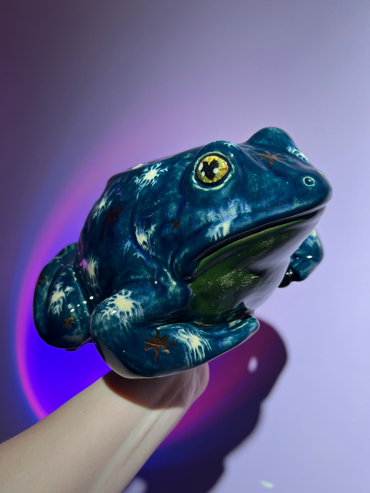 Chilliam the Winter Sky Frog