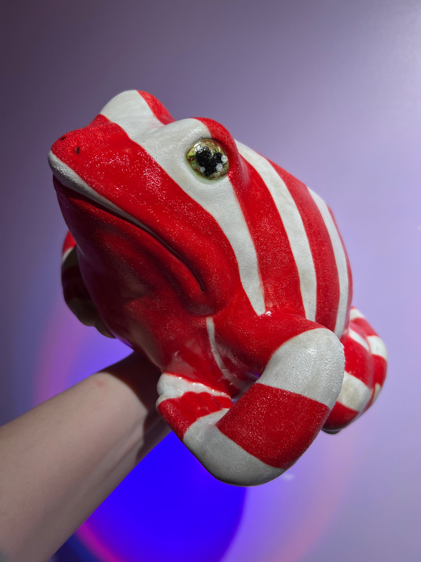 Pepper the Deep Fried Peppermint Frog