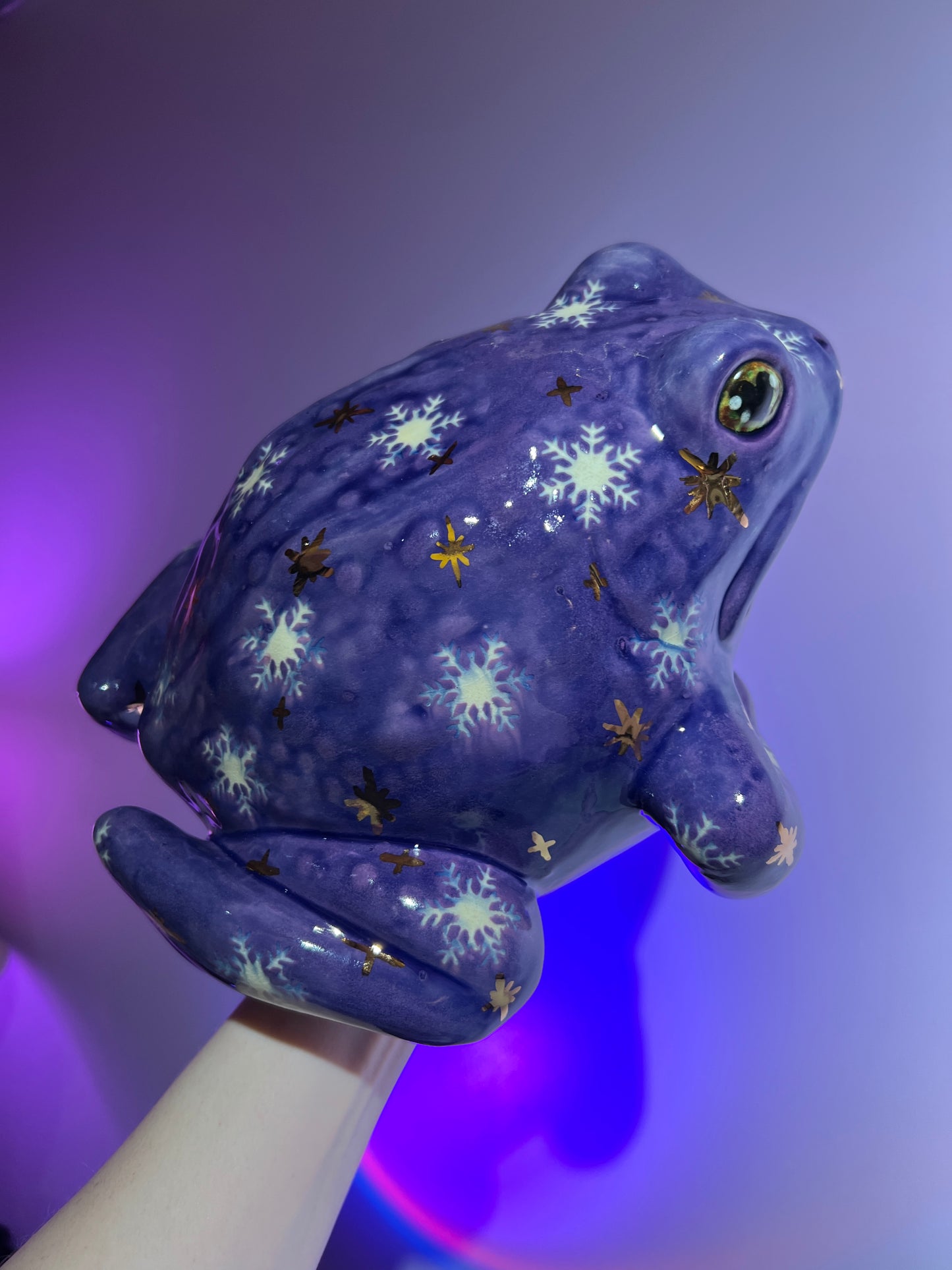 Snowelle the Snowflake Sky Frog