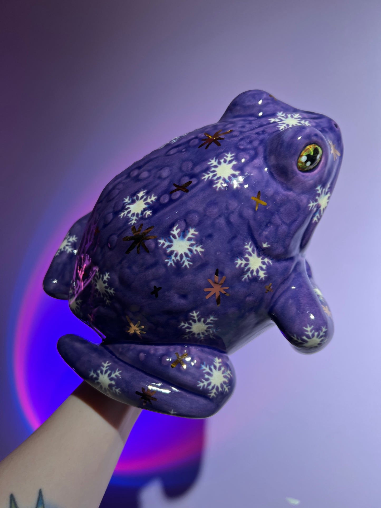 Blizzette the Snowflake Sky Frog