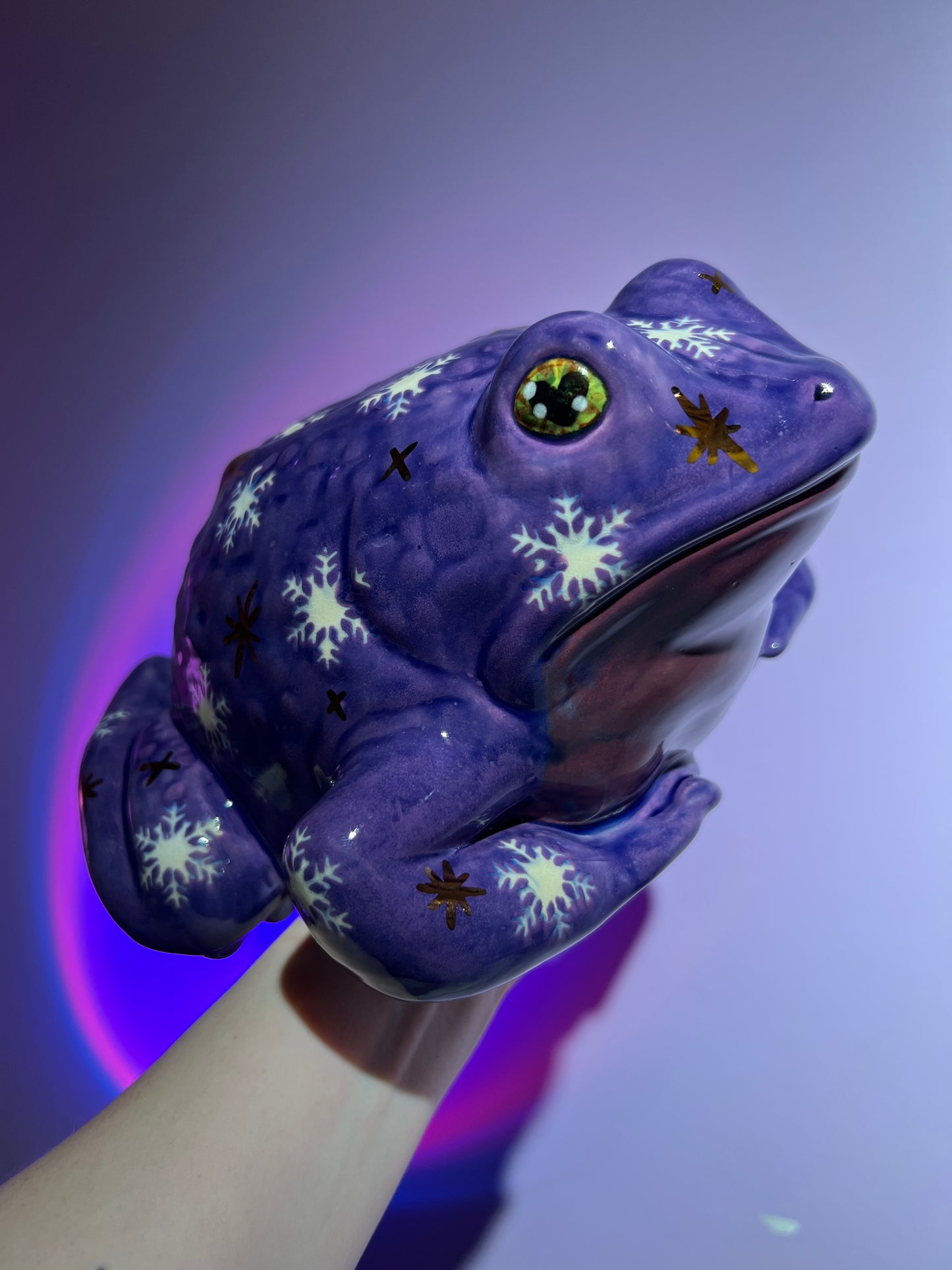 Blizzette the Snowflake Sky Frog