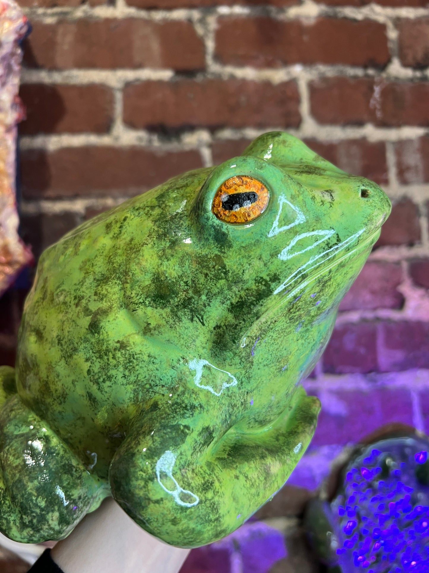 Moss the Frog (6)