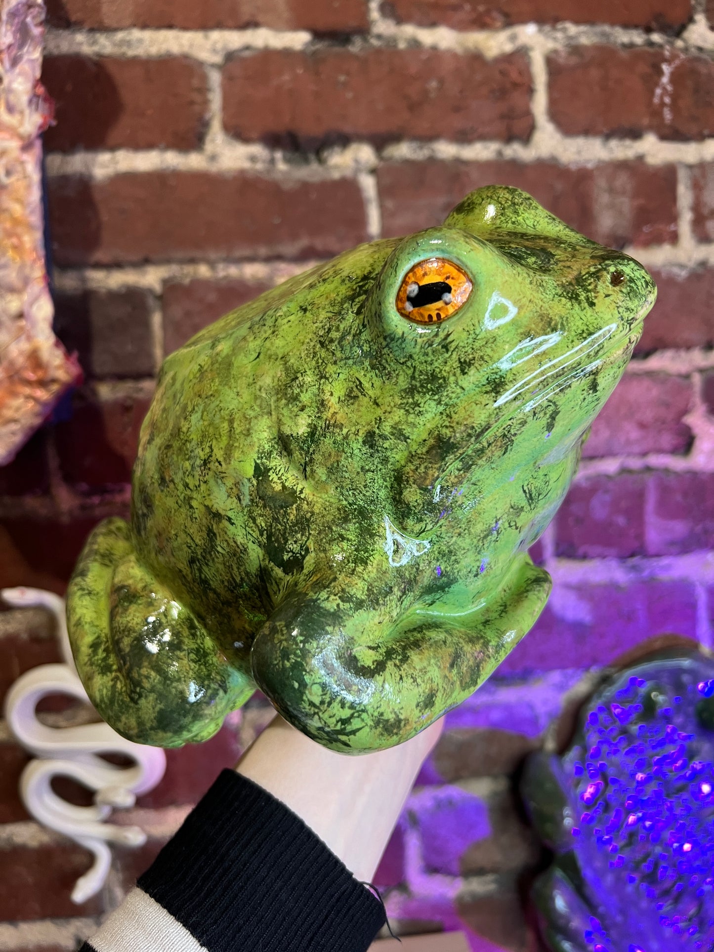 Burl the Frog (7)