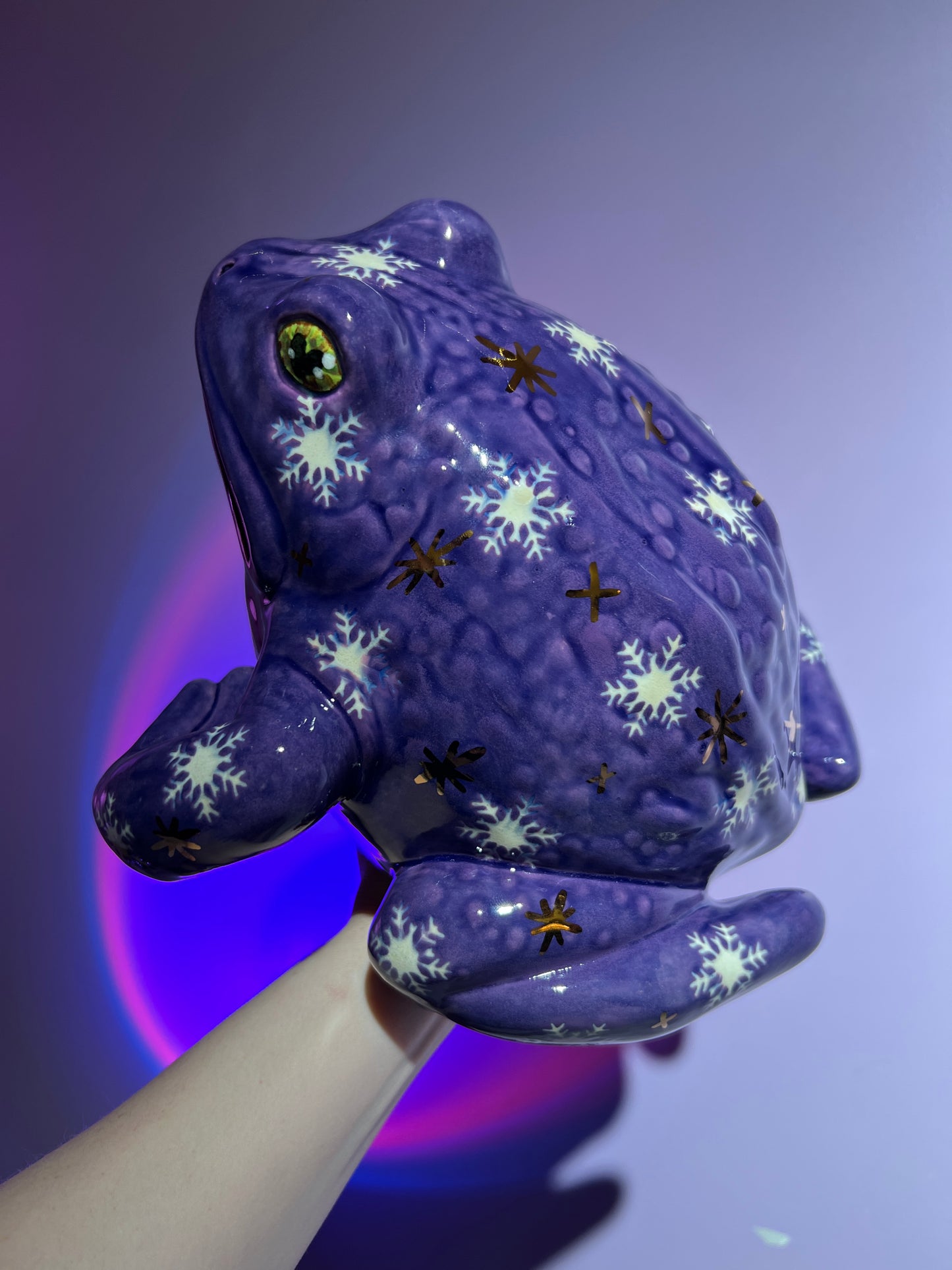 Blizzette the Snowflake Sky Frog