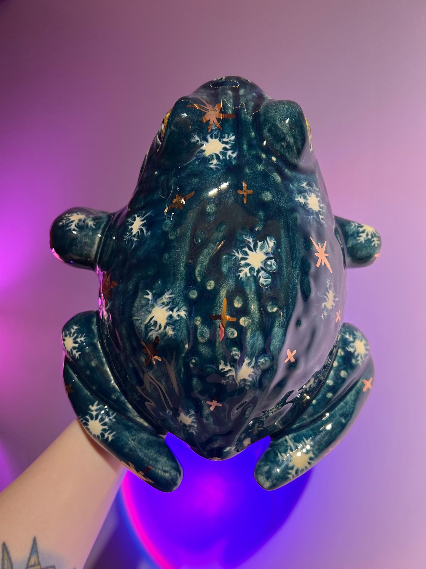 Shiverick the Winter Sky Frog