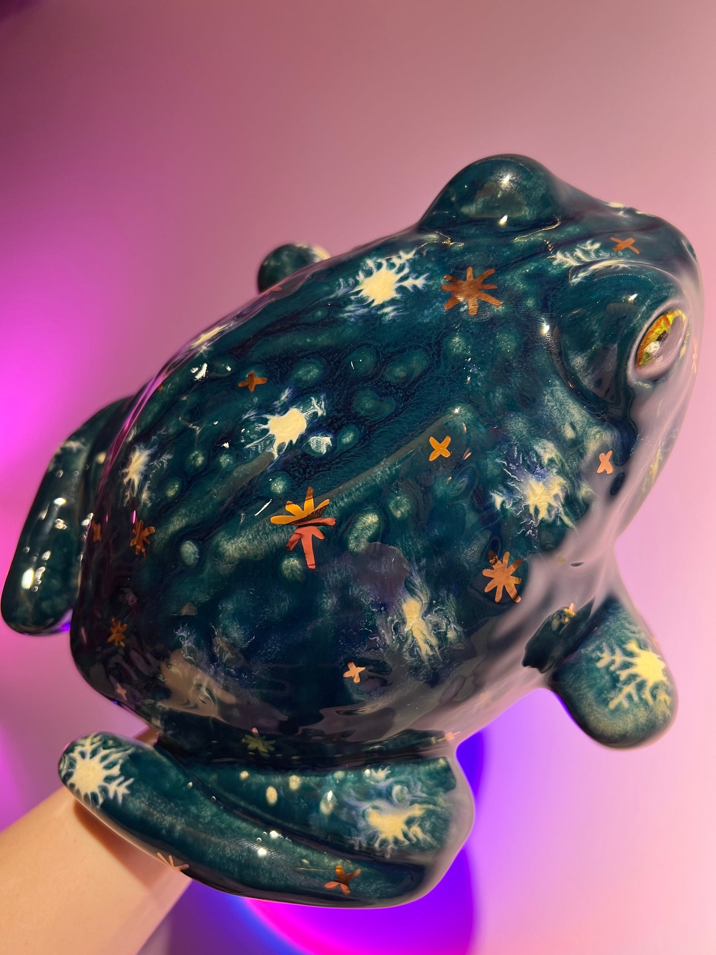 Chillary the Winter Sky Frog