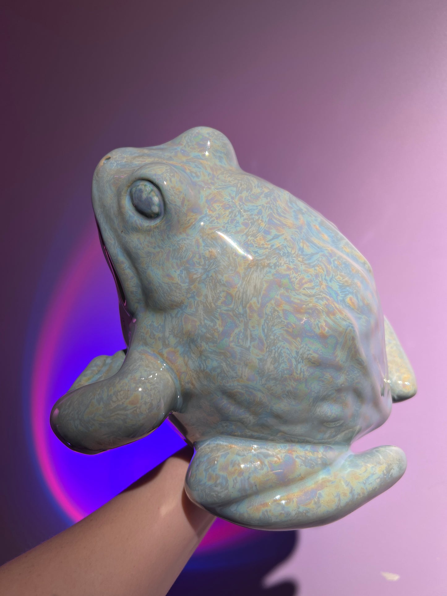 Frostelle the Frozen Frog