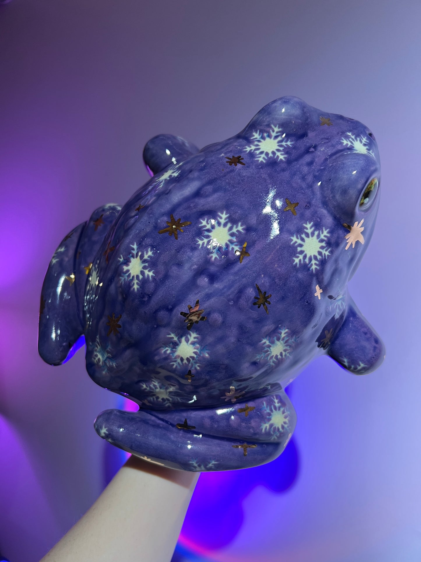 Snowelle the Snowflake Sky Frog