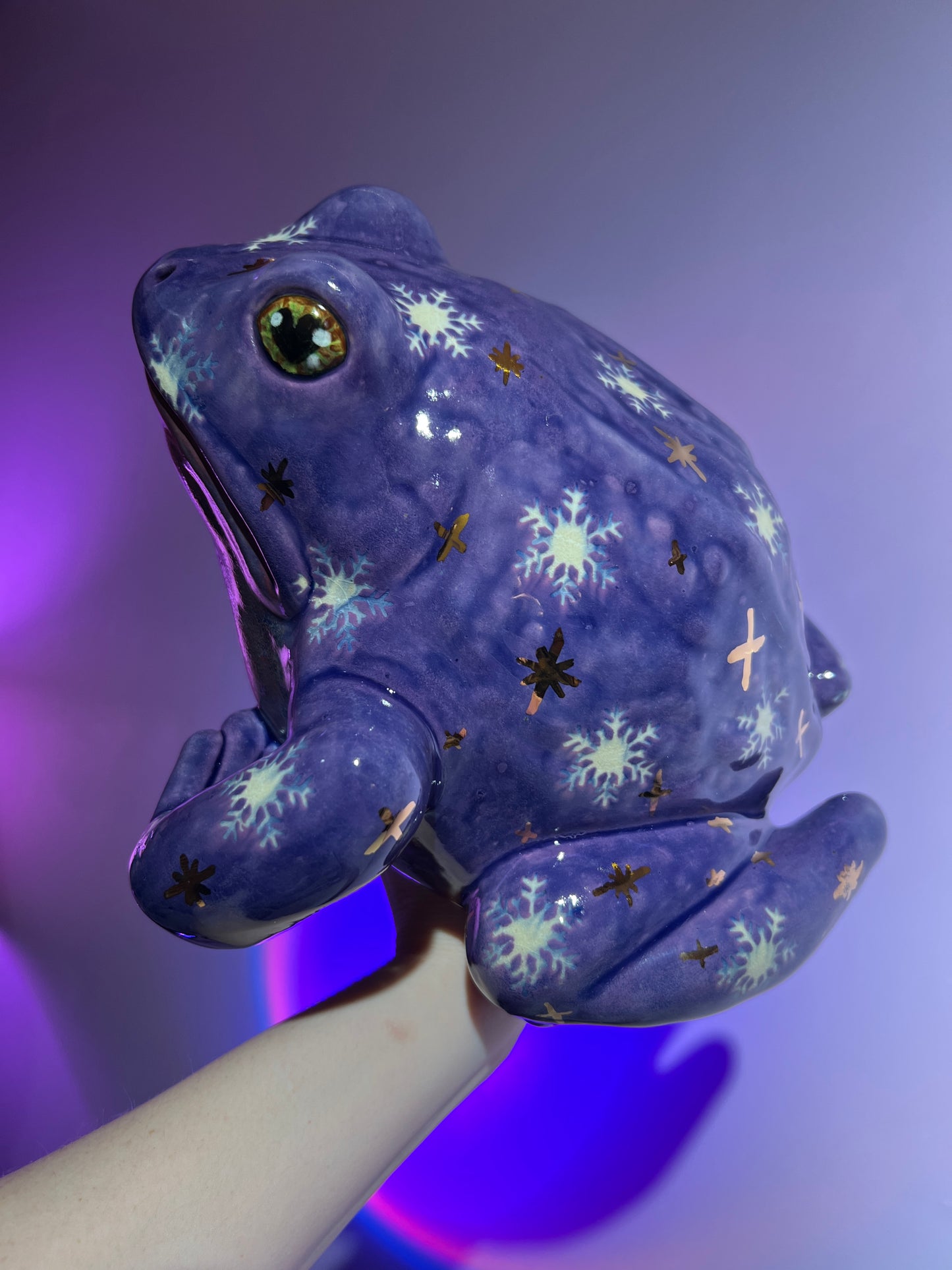 Snowelle the Snowflake Sky Frog