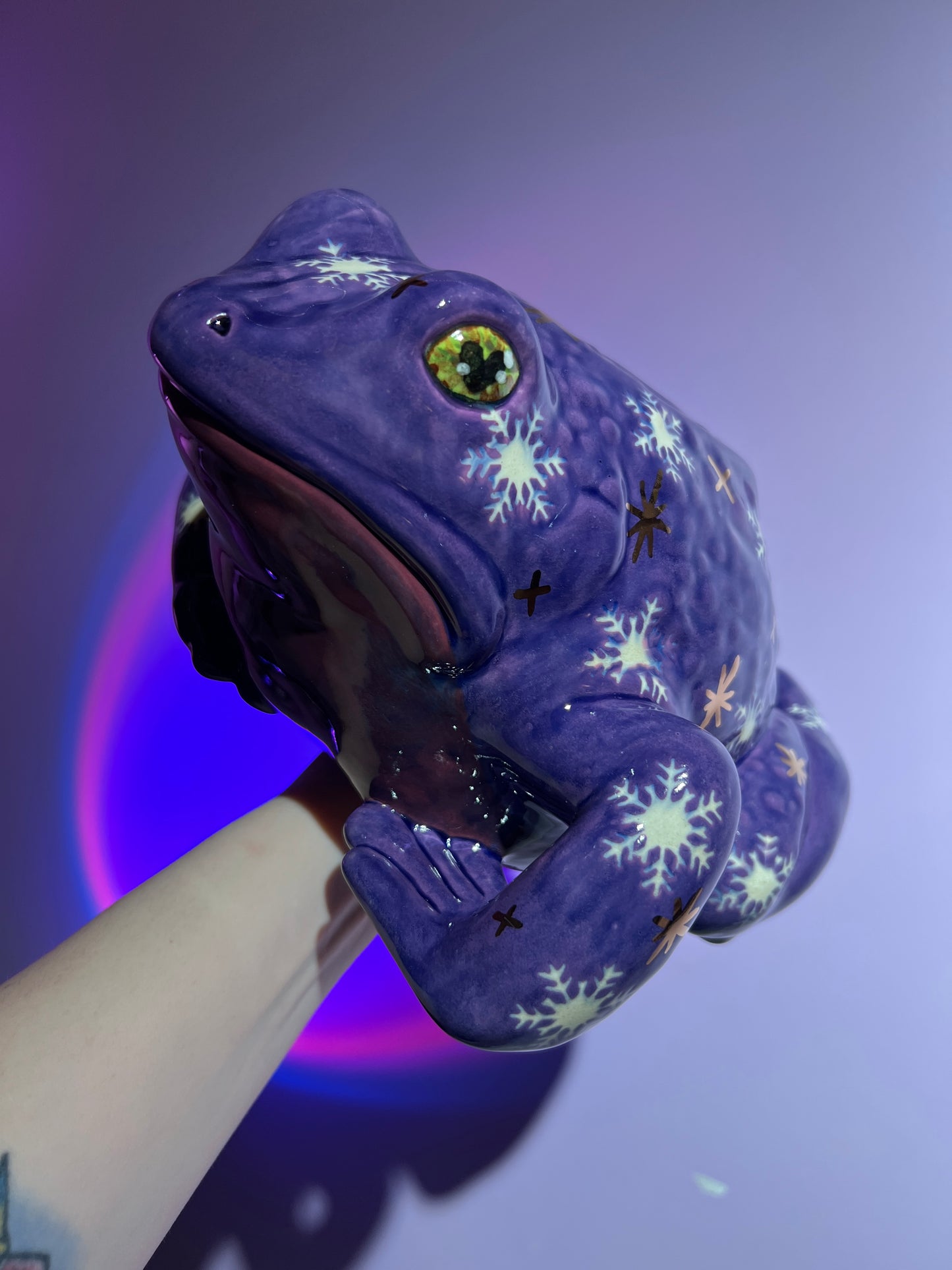 Blizzette the Snowflake Sky Frog