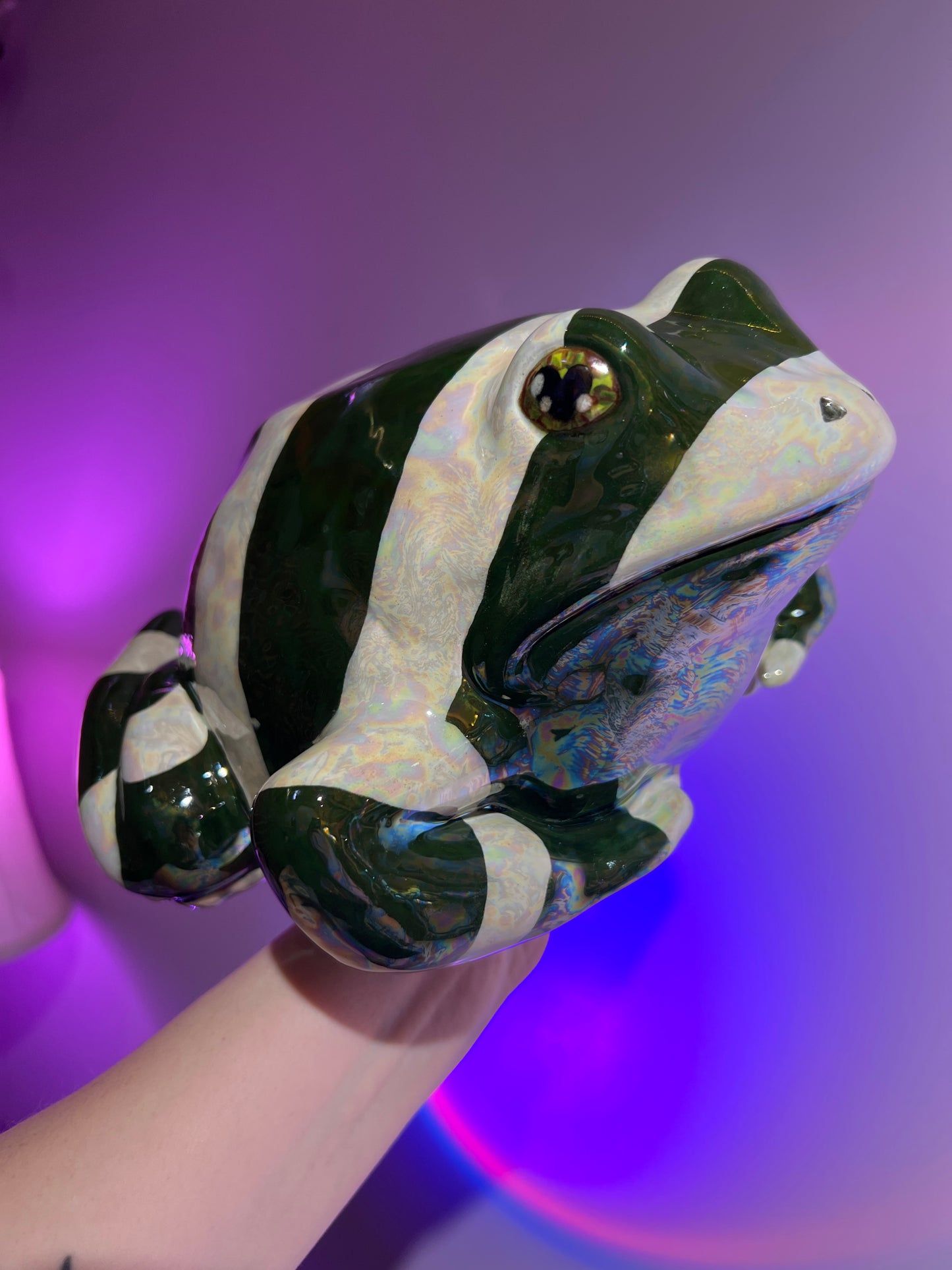 WynterGreen the Peppermint Frog