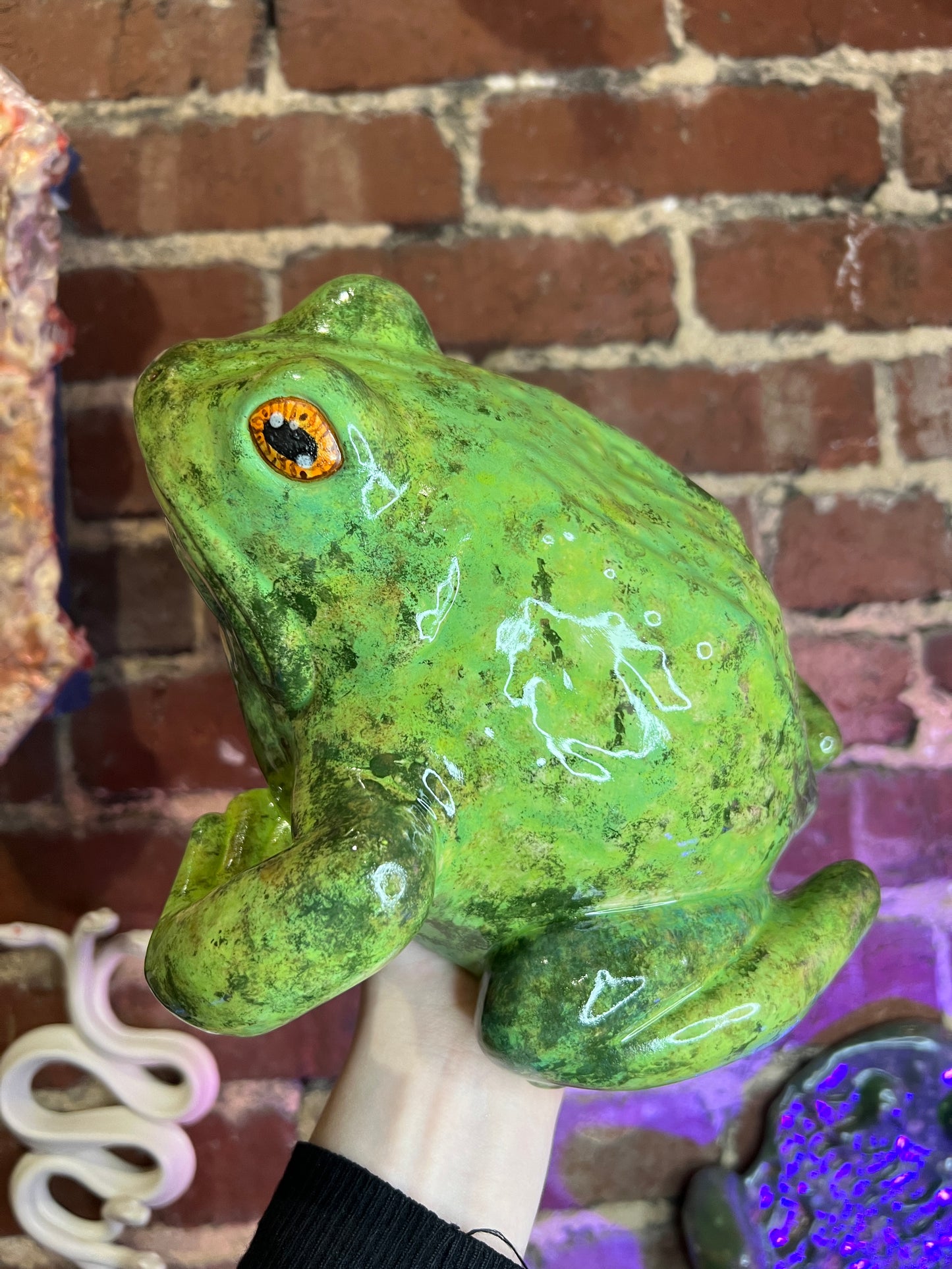 Clover the Frog (3)