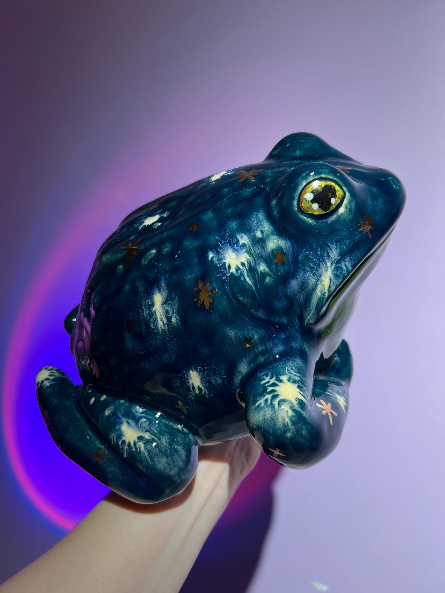 Chillary the Winter Sky Frog