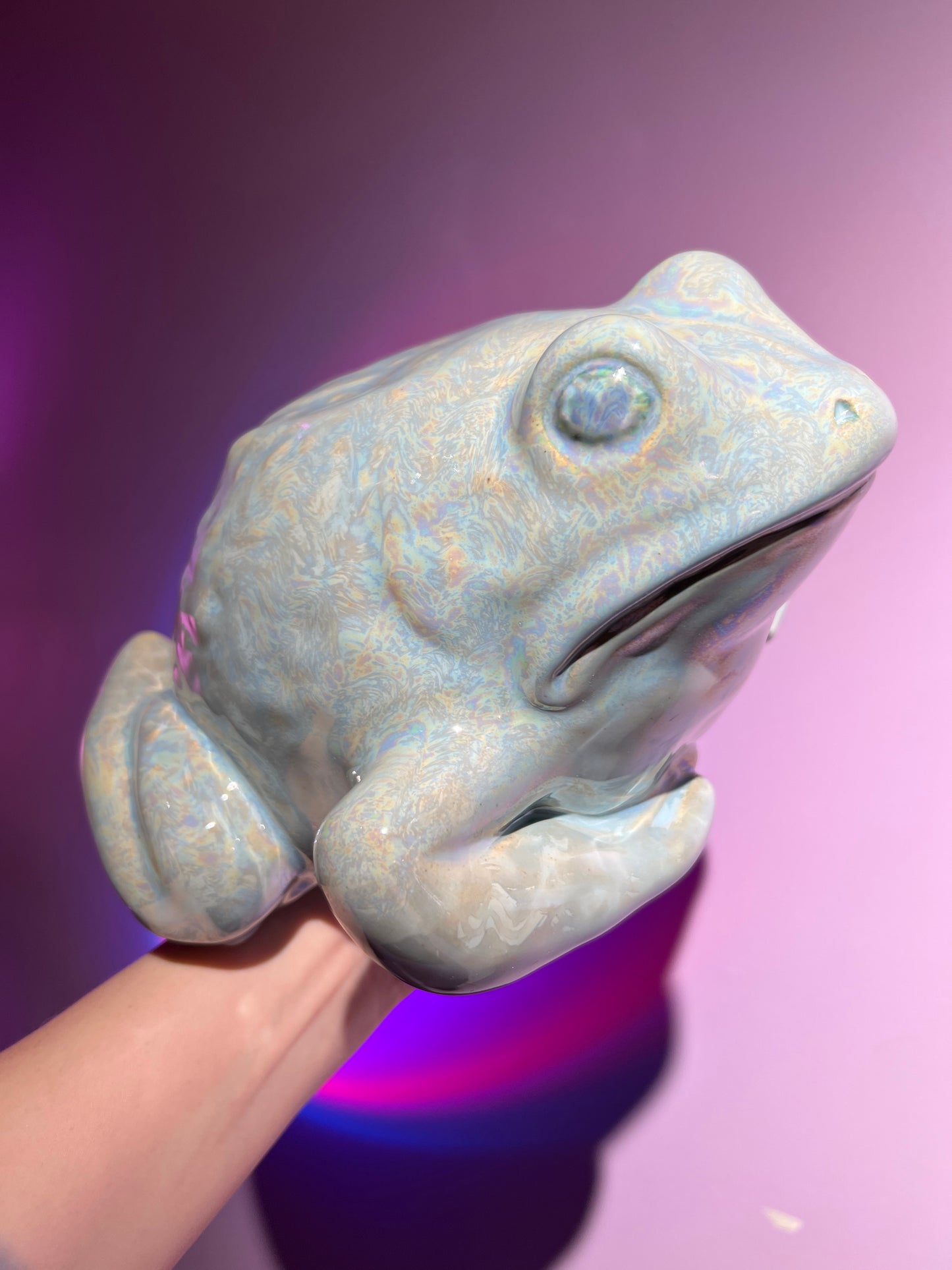 Frostelle the Frozen Frog