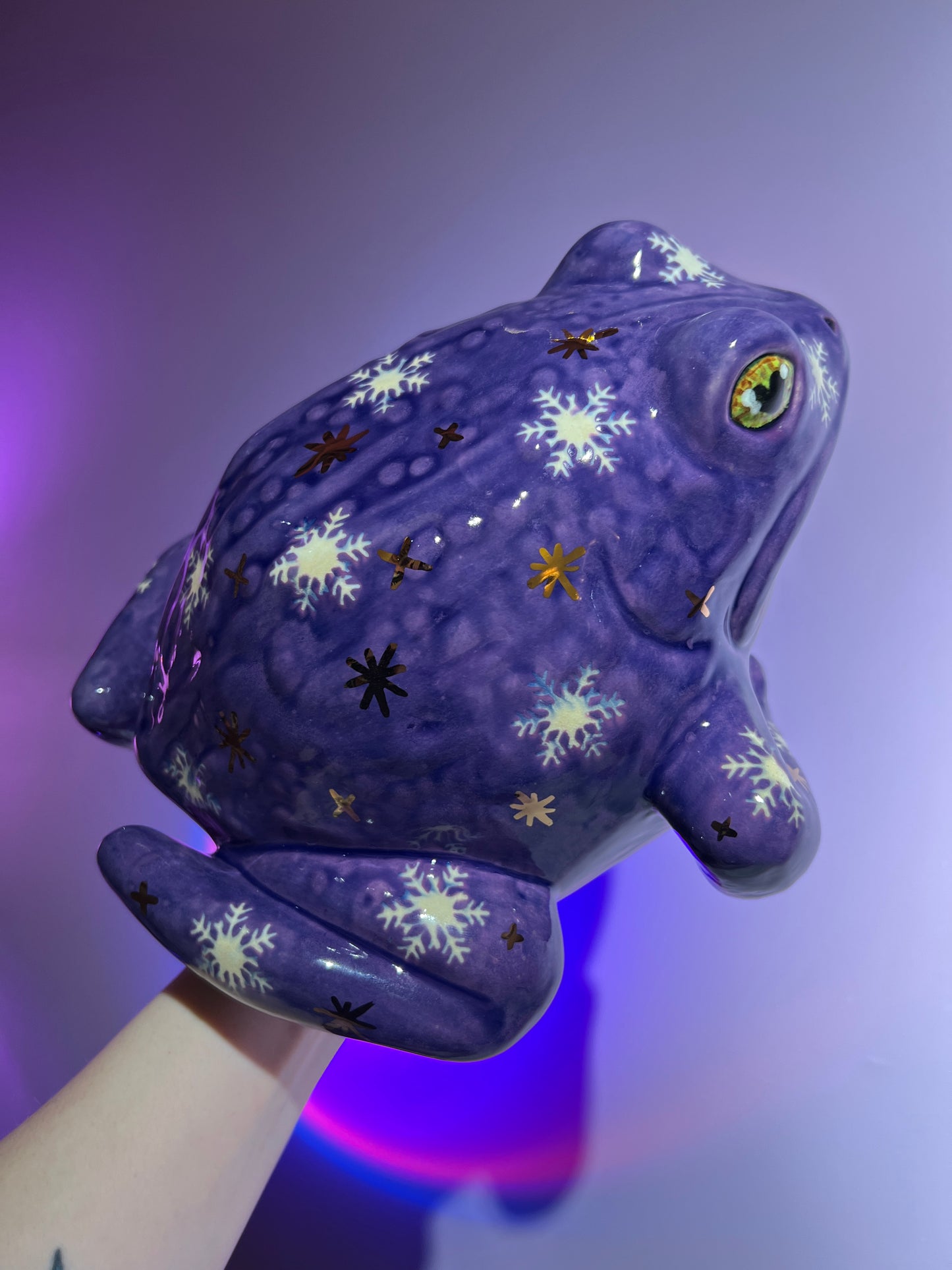 Shiverly the Snowflake Sky Frog