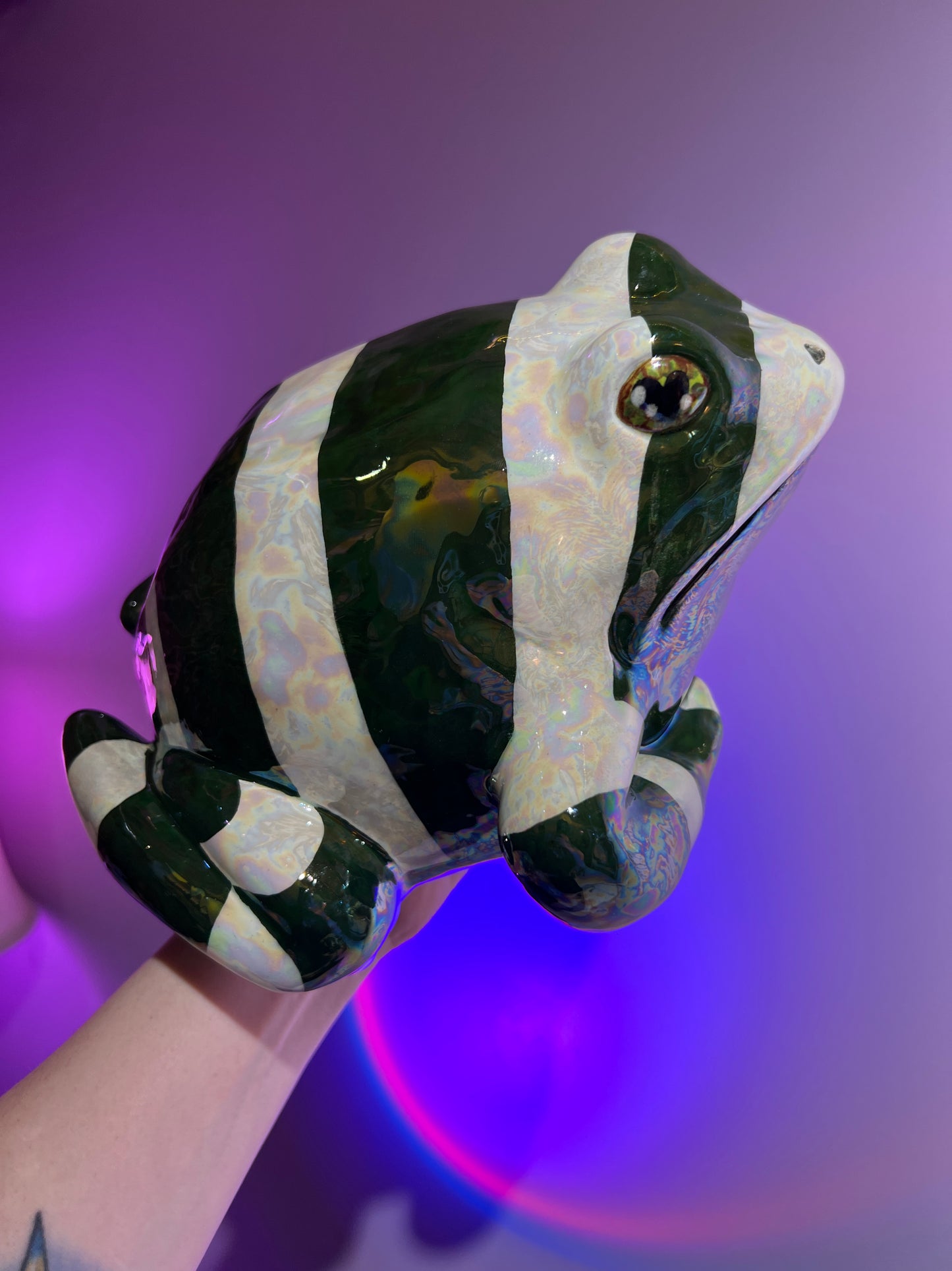 WynterGreen the Peppermint Frog