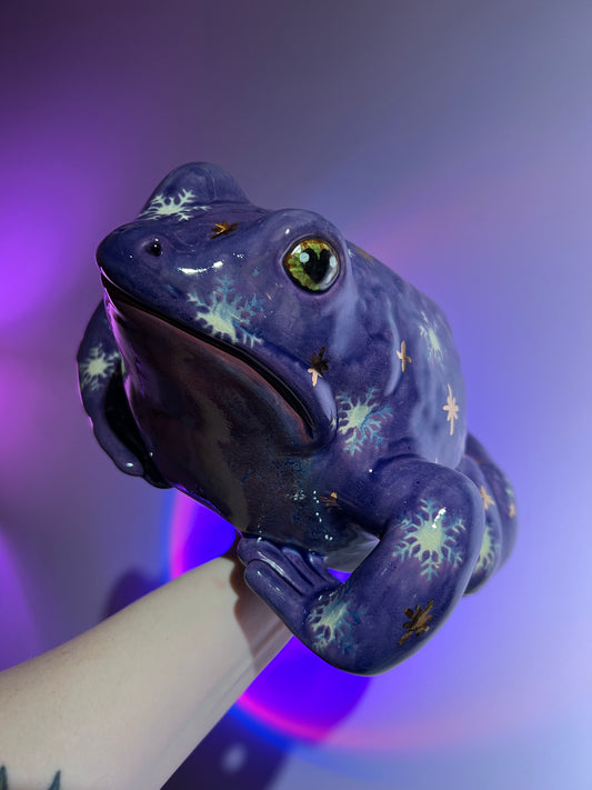 Snowelle the Snowflake Sky Frog