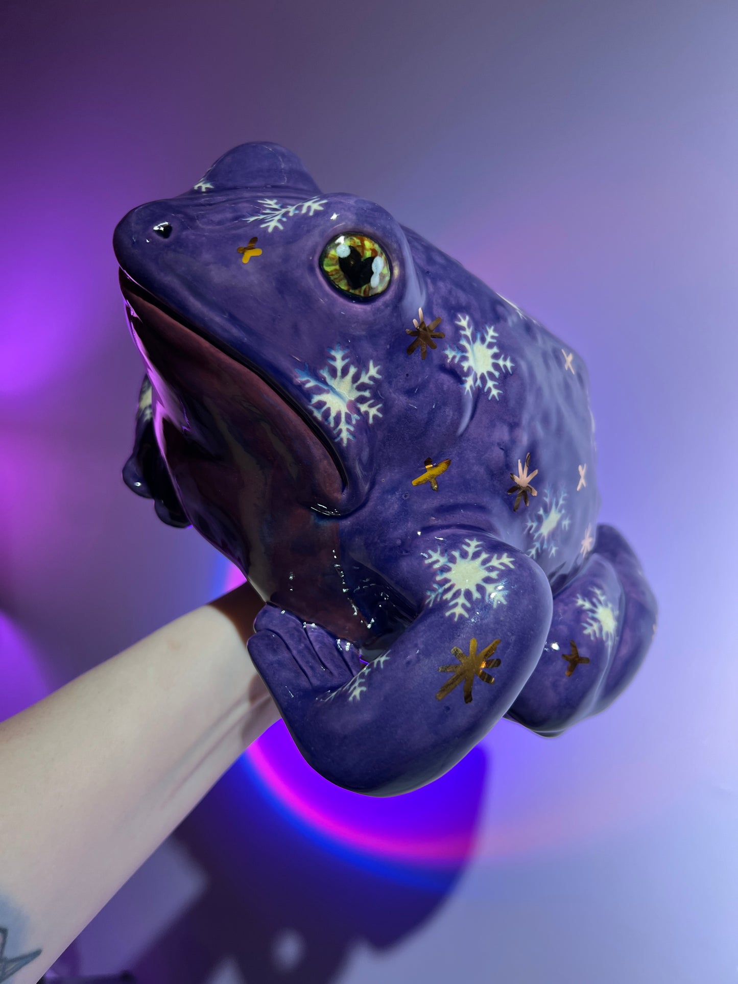 Shiverly the Snowflake Sky Frog