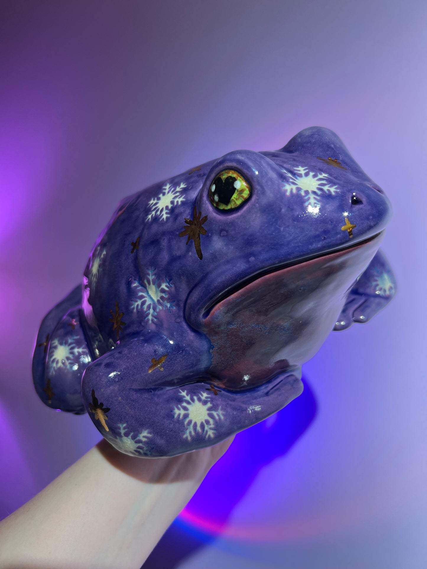 Snowelle the Snowflake Sky Frog