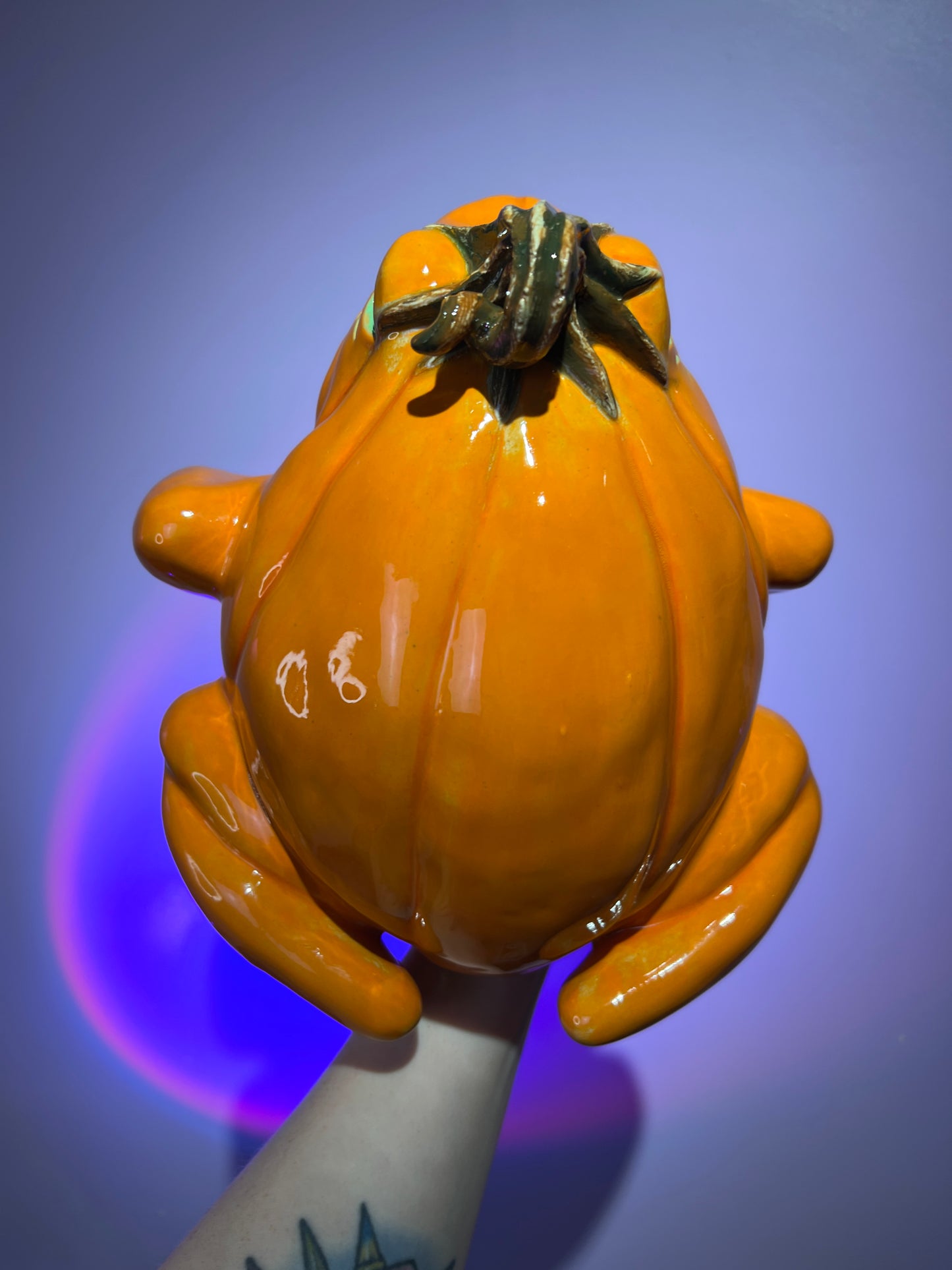 Gourfield the Pumpkin Frog